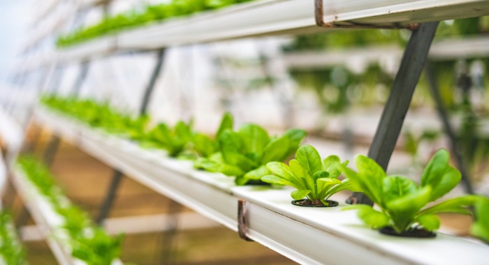 Agrárgazdasági kamara: újszerű megoldásokat keresnek az agrárium kihívásaira